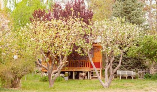 צ'וס מלל Hosteria La Farfalla מראה חיצוני תמונה
